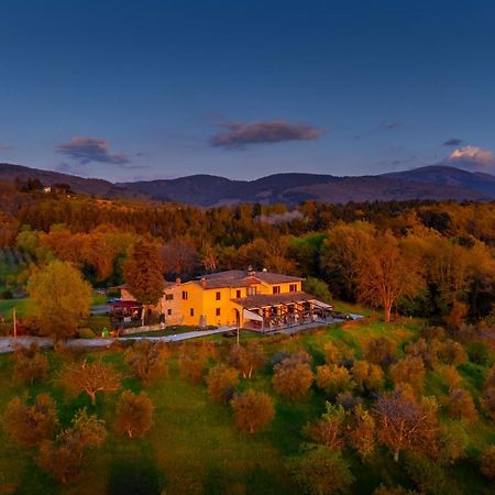 Tenuta Risalpiano Pelago Екстер'єр фото