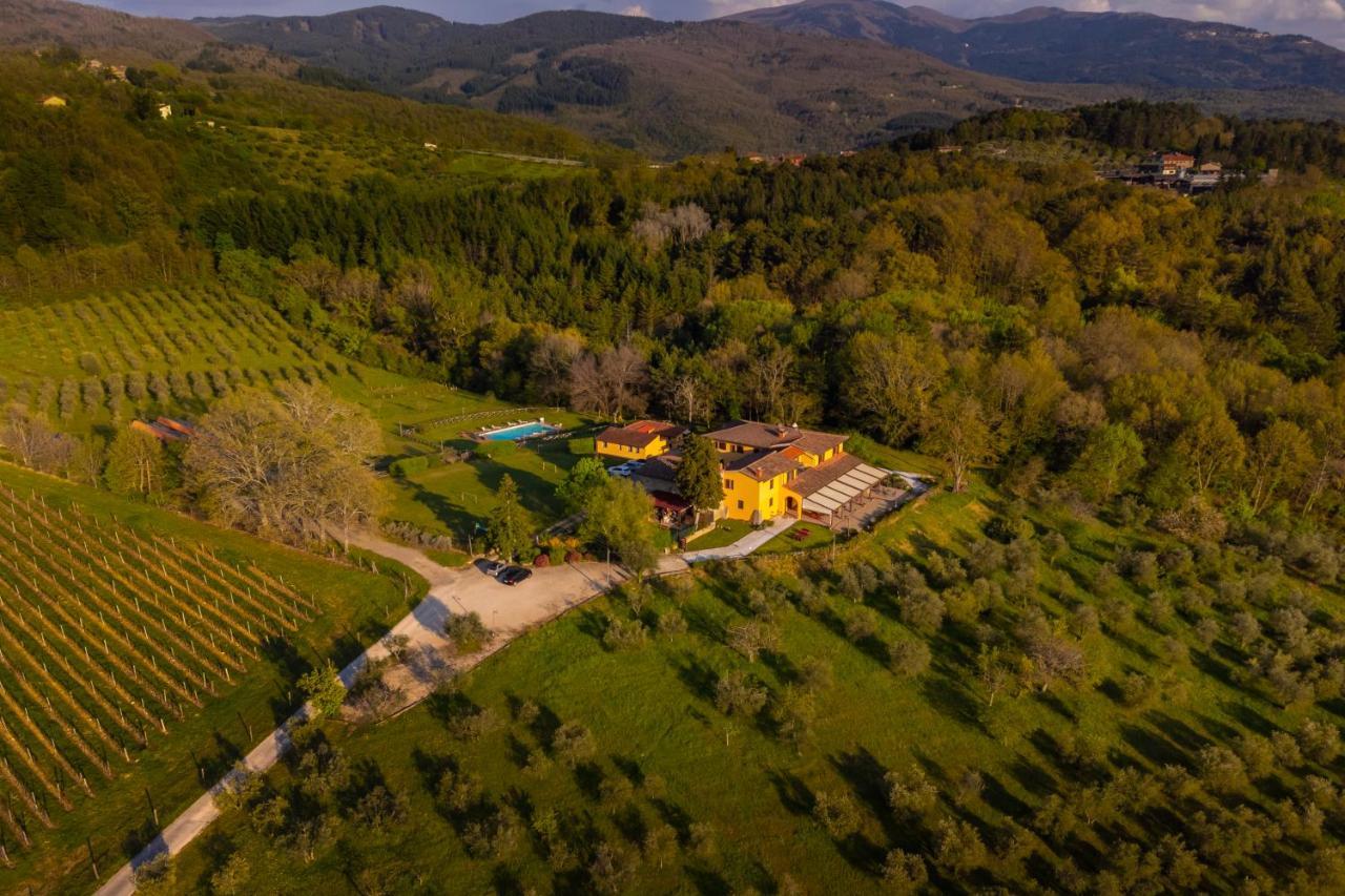 Tenuta Risalpiano Pelago Екстер'єр фото