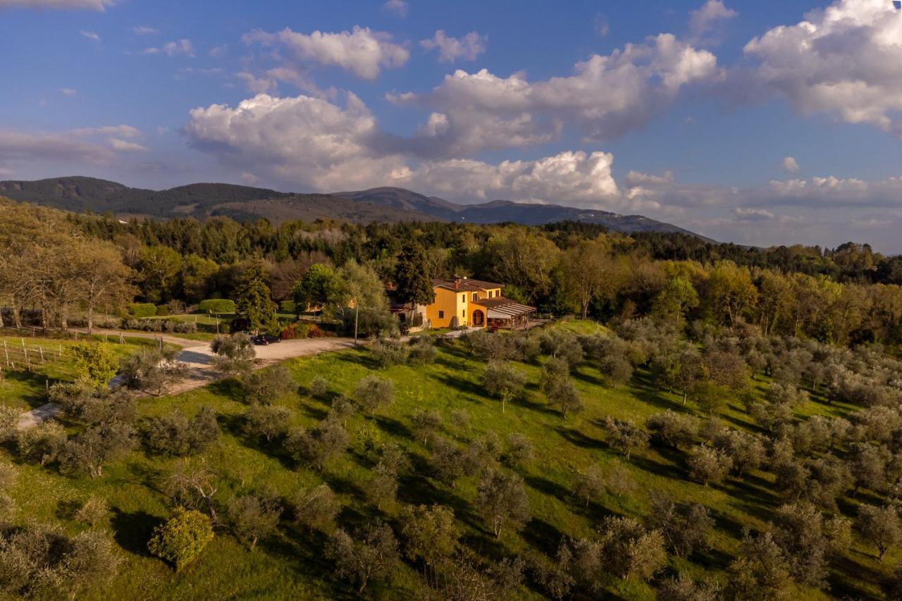 Tenuta Risalpiano Pelago Екстер'єр фото