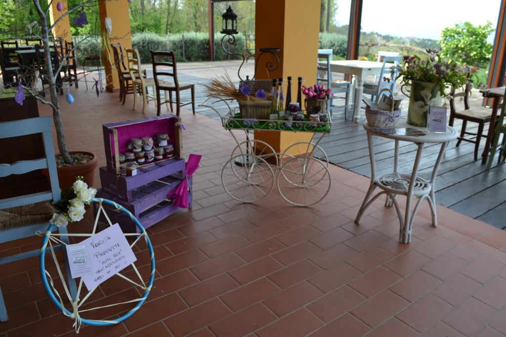 Tenuta Risalpiano Pelago Екстер'єр фото